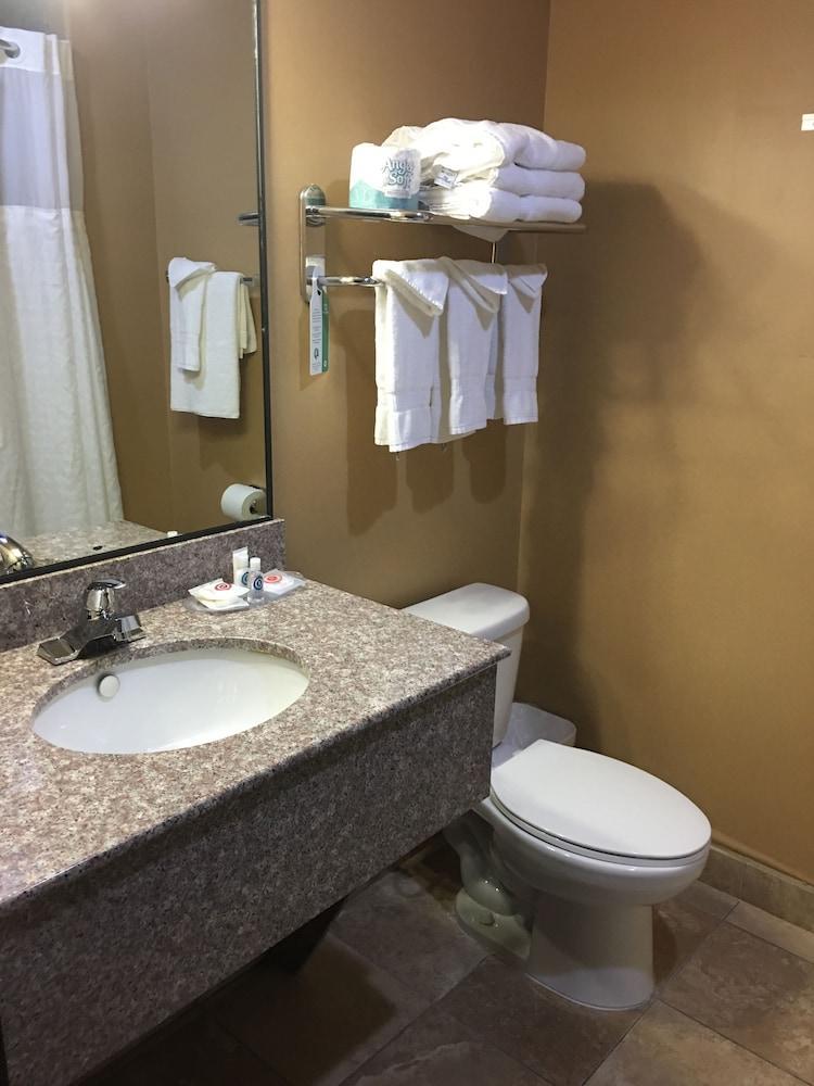 Comfort Suites Pflugerville - Austin North Exterior foto